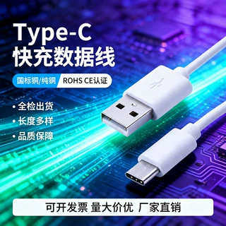 工厂直销USB转typeC充电线国标铜快充Type-C数据线美容仪配机线