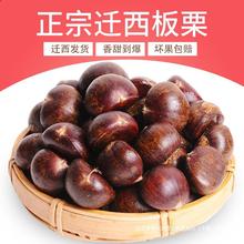 2024迁西板栗生新鲜河北栗子大去壳去皮板栗仁燕山熟小油栗板粟肉
