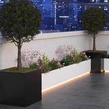 ���⻨��l��M���̨����ͥԺ���@¶̨���^�Nֲ���҃Ȳ��P䓻���