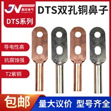 加工 雙孔銅線鼻子DTS-16/50/95/120/240/600平方銅過渡接線端子