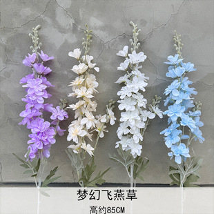 2��ֲ�q�����w��� �L����ֲ�q���_�mǧ���m��c���滨�Ŀ羳���Q