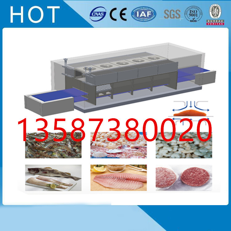 厂家直销隧道式速冻机豆沙鲽鱼鸡柳手抓饼乳鸽春卷黄桃连续冻结机