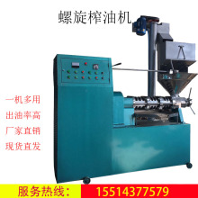多功能花生榨油机 商用全自动生榨菜籽压榨 大豆螺旋榨油机价格