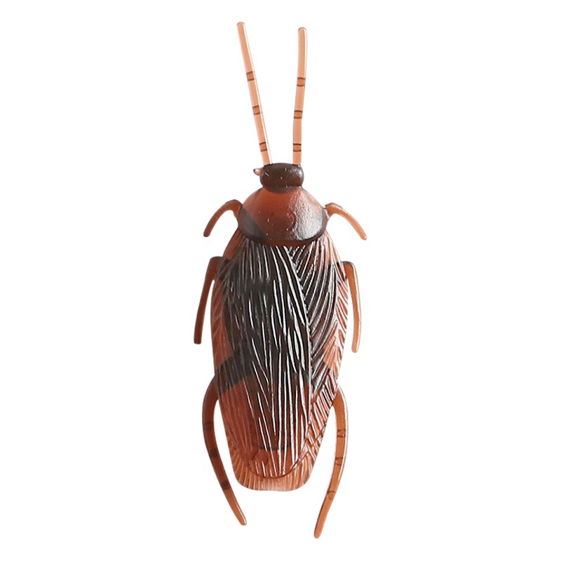 Plastic simulation cockroaches Halloween April Fool's Day trick small toy accessories 5 styles simulation Xiaoqiang fake cockroaches