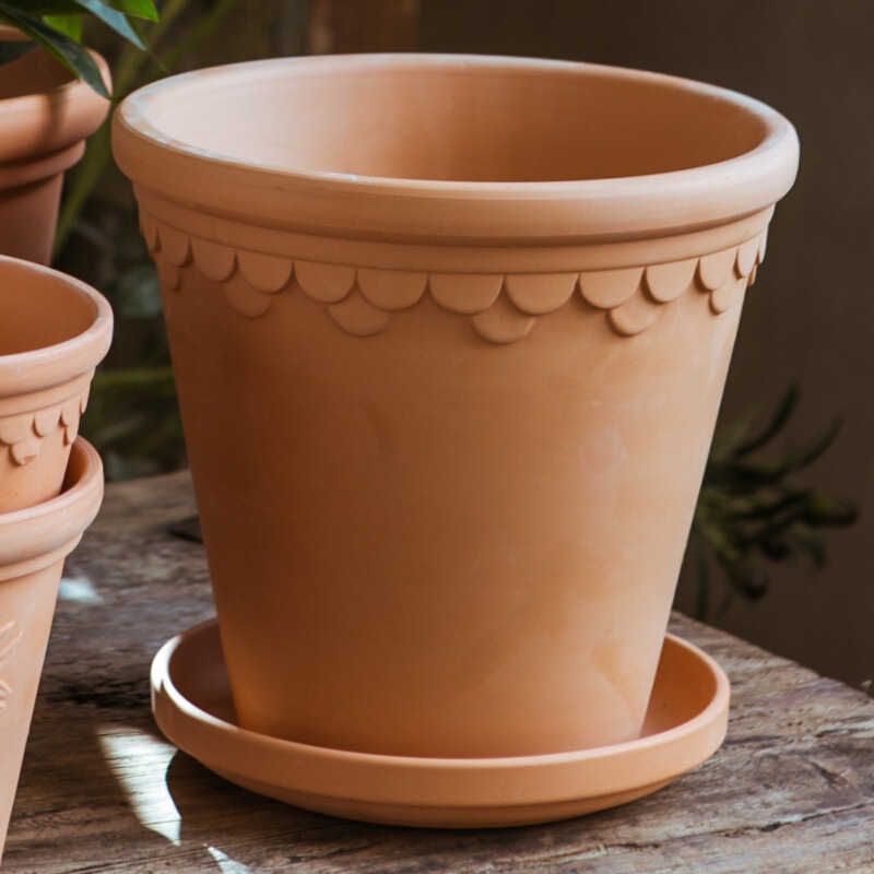 赤い陶器の植木鉢、吸水性、通気性、根腐れしない粘土トレイ、浮遊粘土ポット、大型の緑の植物多肉植物ポット|undefined