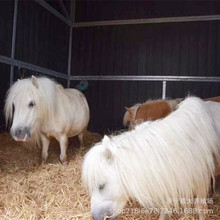 ����Ȍ��O���m���R���^���յ±����R ��ͯ�T�˰��R���w ��܇�R