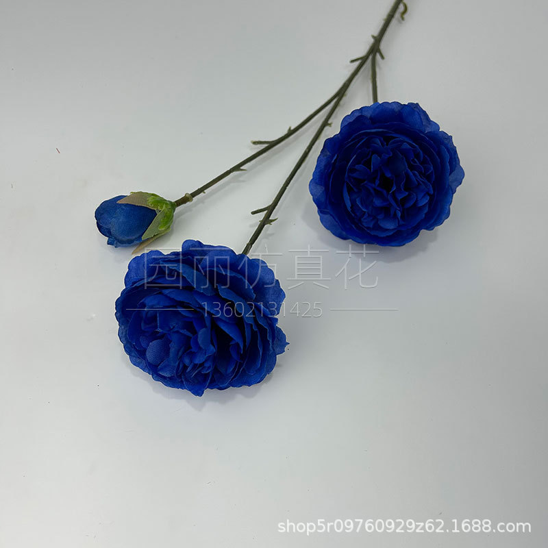 다이아몬드 블루