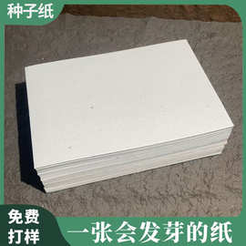 种子纸可种植材质发芽艺术纸卡片贺卡门票信封名片书签原材料批发