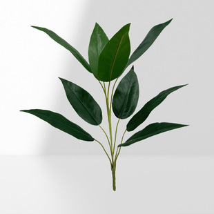 ����Gֲ�~��ֲ�ܛ�b ����ֲ�� ��ȸ���f���� 9�^�׻���