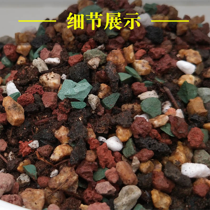 0ad64cb5-ba38-4fc8-90e7-86c82ab33fc6.jpe