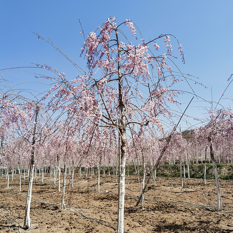 微信图片_20230818145845 副本.jpg