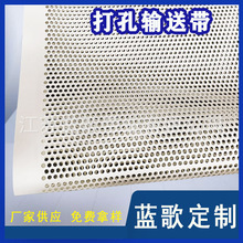 厂家樱桃筛选机PU皮带荔枝百香果筛选打孔白色食品级打孔输送带