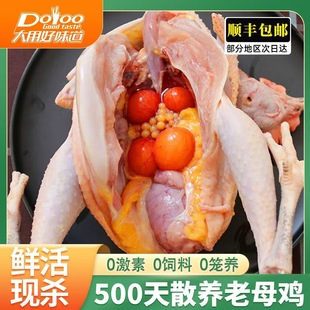 ��S���]��ĸ�u���u�r��ɢ�B���r�F���u��ֻ�ߵ��u��ɽ�u���u