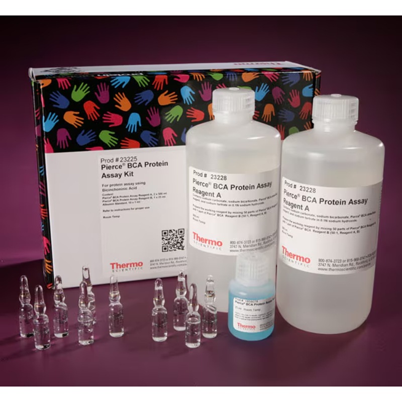 23225/23227赛默飞Pierce BCA蛋白检测试剂盒10x1mL比色法Thermo