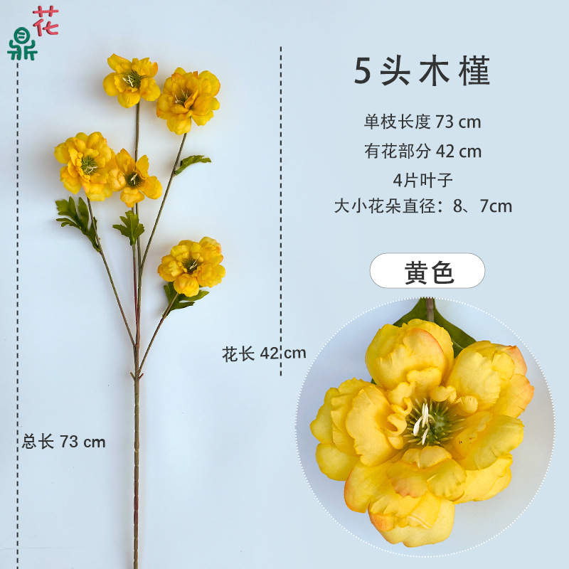 Hoa Hibiscus 5 đầu, màu vàng