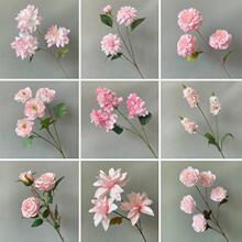 ���滨��Y���b��� ��c�÷ۼtɫ������ ��Y�������滨�OӋ