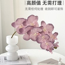 ��ɫ�����m���滨�[�O�ٻ��߼��б���С�����P�[��������ˇ�b�Ʒ