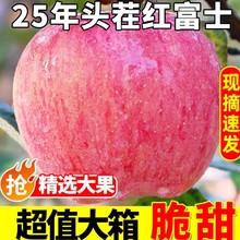 正宗红富士苹果脆甜多汁新鲜应季水果纸袋脆甜苹果整箱包邮批发
