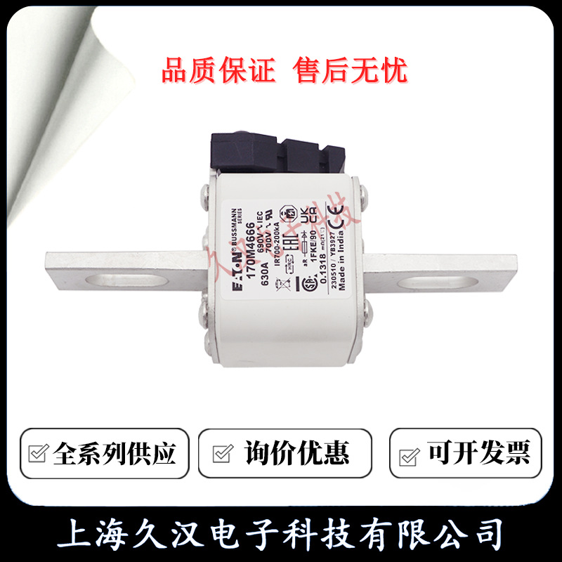 170M4666 170M4667 170M4668 170M4669 BUSSMANN 熔断器 保险丝
