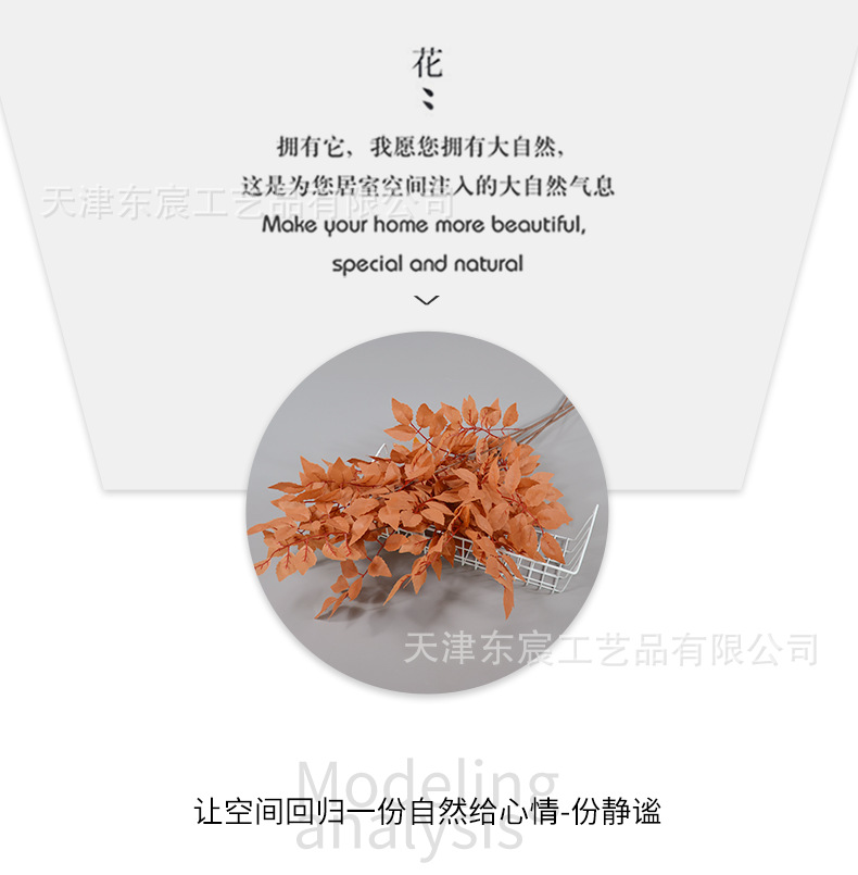 详情_06.png
