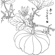 ���P���߹��P��СƷ����׸��ӡ���Rġ�������辀�徚��