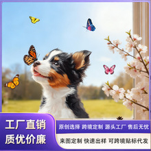 �羳����ȳ趯��С�����괰�� �̳��칫���Ŵ�����͸���⽺��ֽ