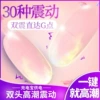 【Tidal Party】USB double-headed vibrator