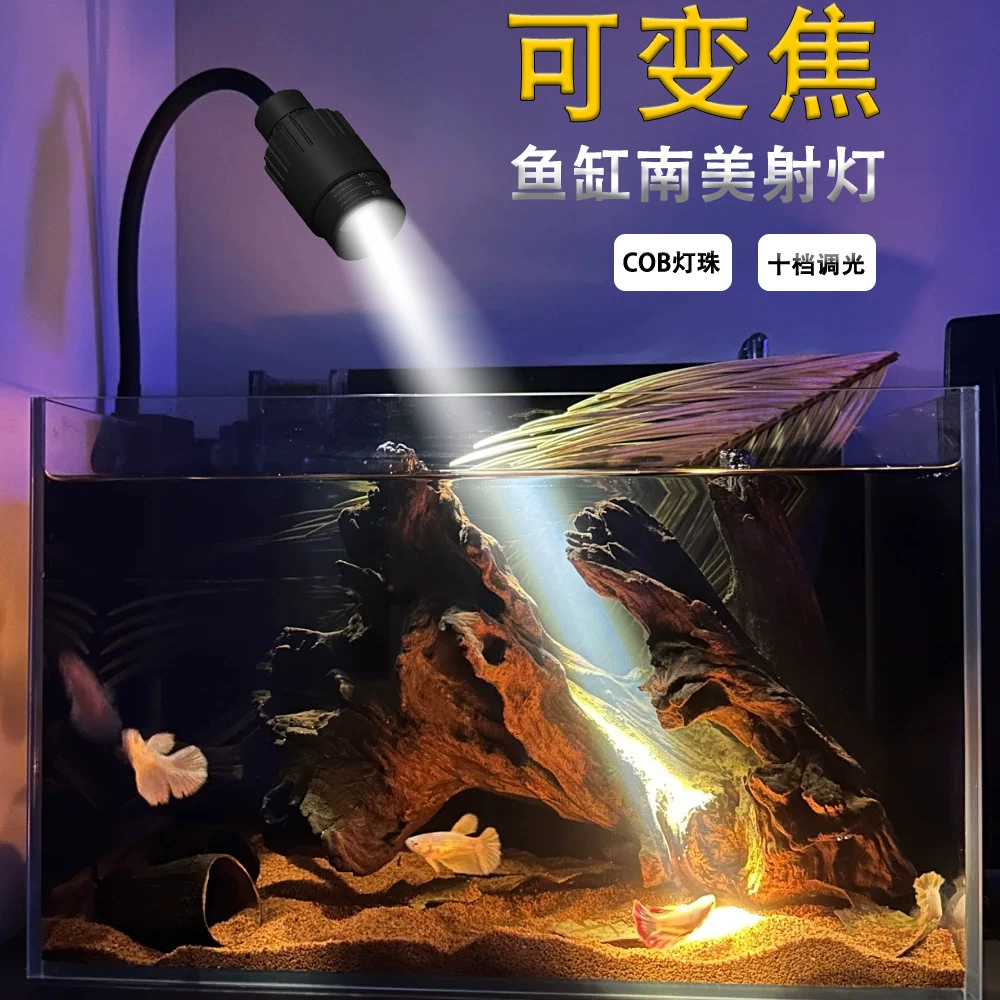 Южно-американский родной аквариум с морской травой и морской аквариум фокус