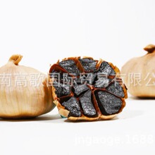 厂家长期提供黑蒜black garlic     欢迎选购