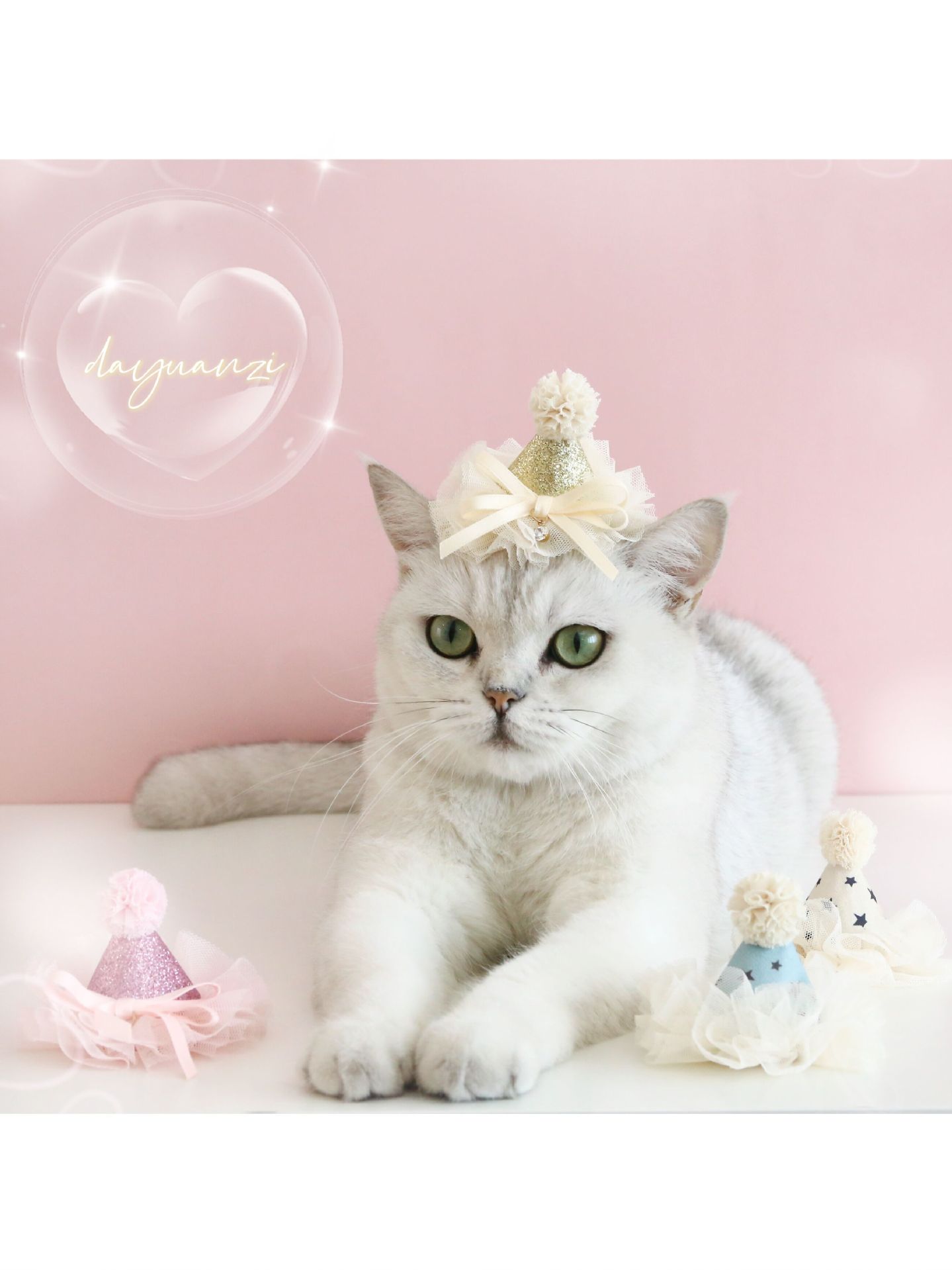 QQ圖片20220926135907