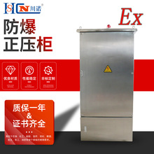 物美價廉防爆正壓櫃儀表箱控制櫃儀表櫃配電櫃IP65防護