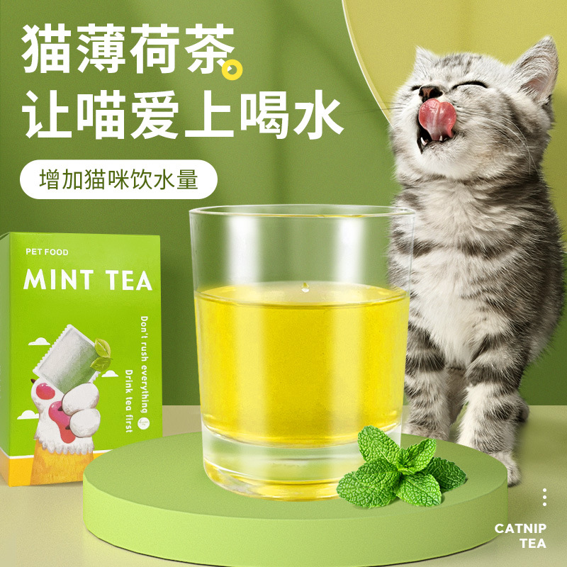 Cat Mint Cat Cat Drinking Water Cats Moons Sign up Emotions…