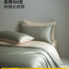 100支新疆长绒棉棉质棉质三件套轻奢床品床单床笠被套床上四件套