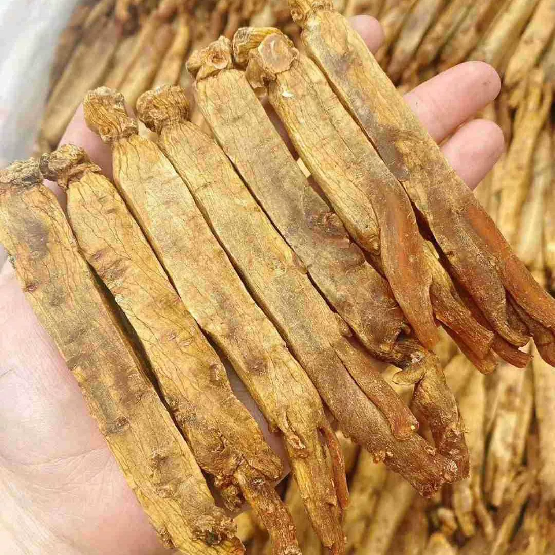 Чанбай Горная желтая кожура корейский женьшень 15 штук 20 штук 30 штук цельные слои корейский красный женьшень боковая полоска женьшеня горшок для замачивания супа