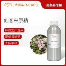 仙客来原精 Cyclaman 印度直采 精油芳疗护理原料批发 大篷车精油