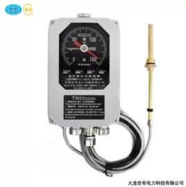 其他仪器仪表;压力式温度计;温度传感器