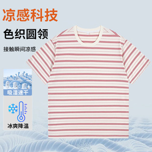 ���_�¿�2026�������l�y��ʿ����T���ļ���H���ɰٴ���A�I��