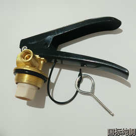 消防配件干粉/水基灭火器阀门器头1-8Kg型 黄铜机头/压把量大从优