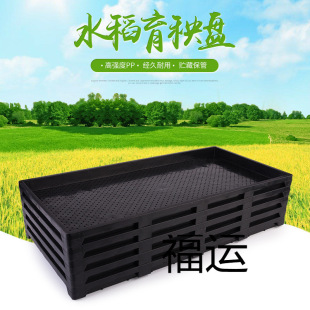 Ӳ�|��C��Ӳ���Pˮ�������P����P�����P���B����