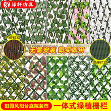 ���Ʒ���Gֲ�řڻ�����sľ�ř�ͥԺ�̨�ڗU�o�ڻ��@�h�ʇ���