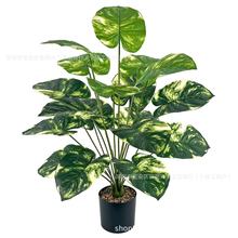 �羳����Gֲ�����쾰�Ҿ��҃ȿ͏d�b[�O�[�����G�}�ٻ���ֲ��