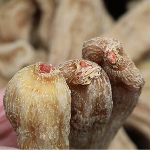 ��eɽ�����؛�����_�����l��ș���������a�B������r��Ұ��