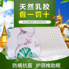 ���z���^����̩���o�i׵����N�u�c�YƷ���z��о���z���^