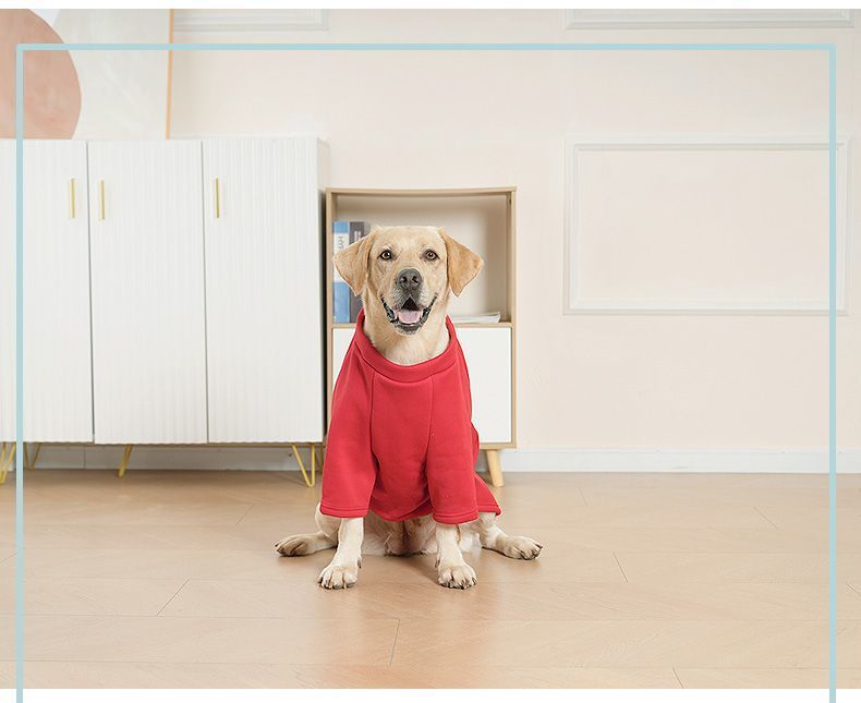 59e52d71-c72c-41c6-848b-b5c58ef18b63.jpe