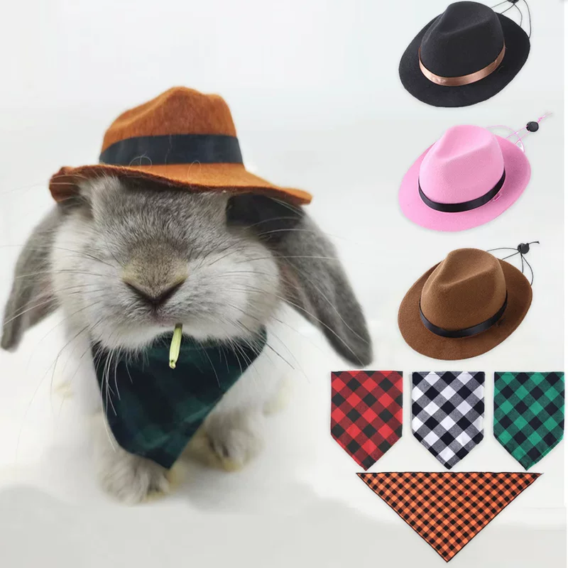 Rabbit, hat, denim eating bib, scarf, pet