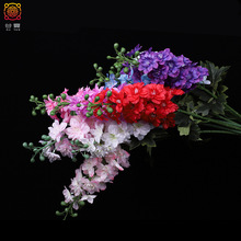 滨wlLӼҾbc_mSF؛羳