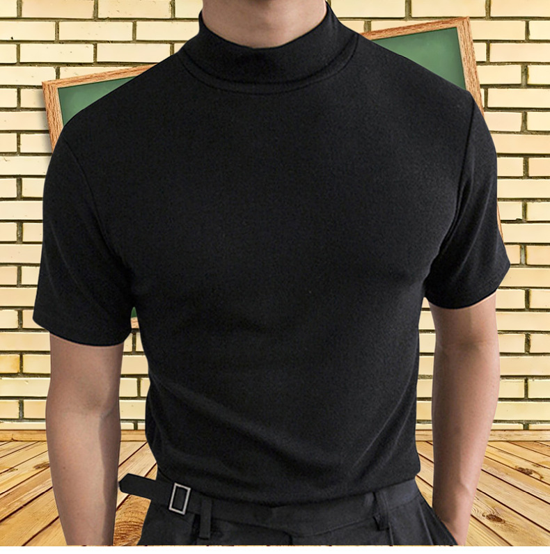 Hombres Color Sólido Estilo Simple Suéter Tipo Con Cuello De Tortuga Manga Corta Ajuste Regular Camiseta Hombre display picture 2