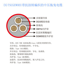 ����|(N)TSCGEWOEU����Ť�D�������Љ���ҷ��|