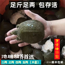 ���~��������ˮ�Bֳ�����ɰ��˃ɏV�|���A�M�����r��ˮ�~������