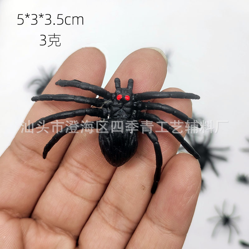 5cm red-eyed spider